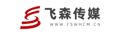 深圳市飛森文化傳媒有限公司